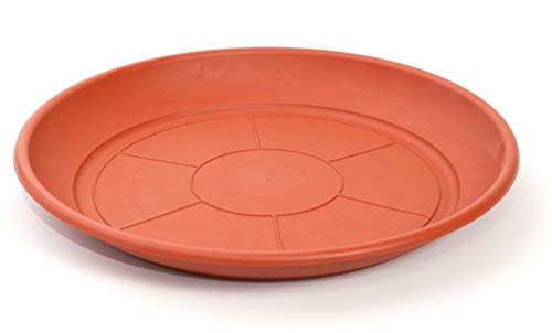 Plato para Maceta Mediterranea (50-60 cm)