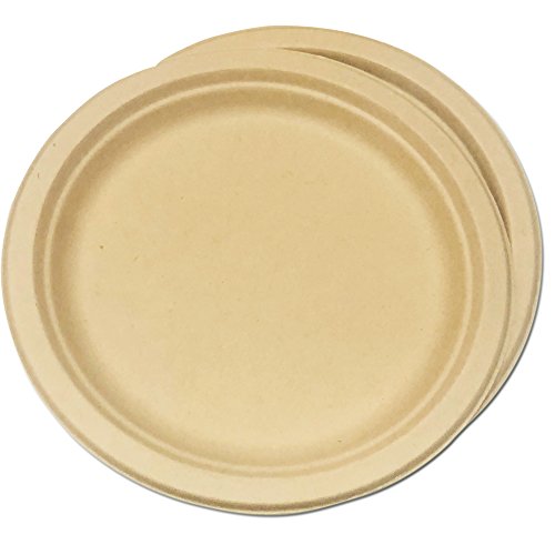 Platos de fibra de caña de azúcar de 23 cm, plato redondo, alternativa natural para plástico o papel, 100% biodegradable, ecológico desechable 25 unidades