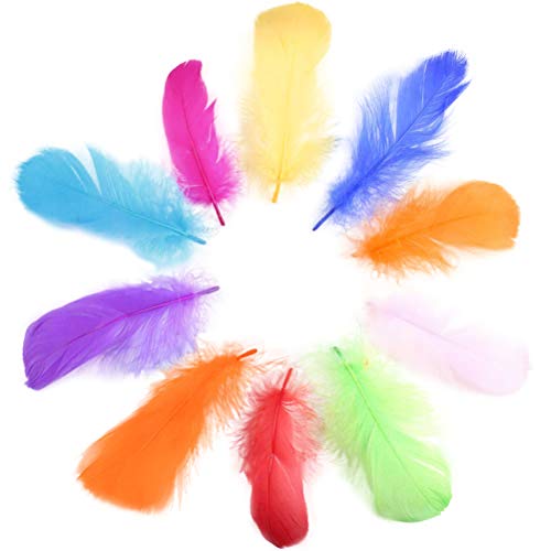 Plumas de Colores,300 Piezas Carnaval Decoracion Pluma Naturales Gansos Manualidadesl para Atrapasueños de Sueños 8～12 cm Mezclado en 10 colores