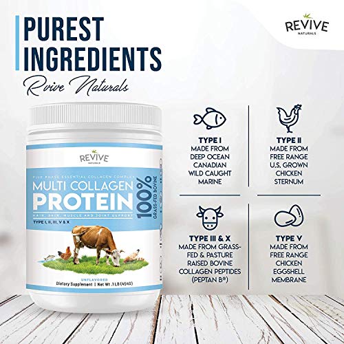 Polvo de Proteína Hidrolizada de Colágeno Múltiple (400g) - Tipos I, II, III, V y X - de Bovinos Alimentados con Pasto, Peces Silvestres, Caldo de Huesos Bovinos Alimentados con Pasto