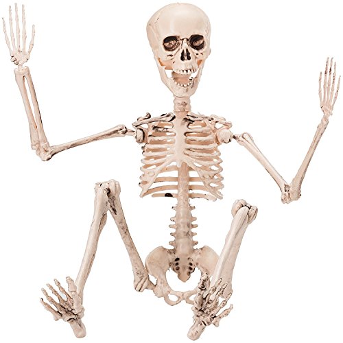 PREXTEX Esqueleto para Halloween de 48cm Hacer Poses - Esqueleto de Cuerpo Entero con Articulaciones Movibles para Posar y 2 Sets de Accesorios para Cuerpo para la Mejor Decoración de Halloween