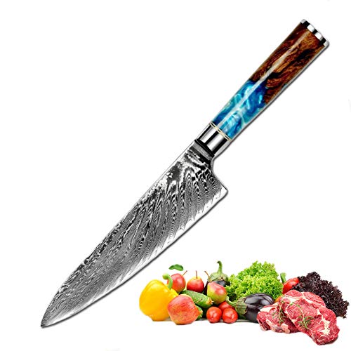 Promithi Cuchillo Chef De Cocina 8 Inch, Japanese VG10 Cuchillo de Damasco Acero inoxidable de alto carbono de 67 capas con mango ergonómico,usado para carne pescado vegetal sushi fruta corte afilado