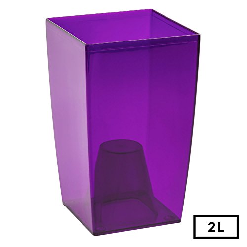 Prosperplast - Maceta transparente para orquídeas, color morado