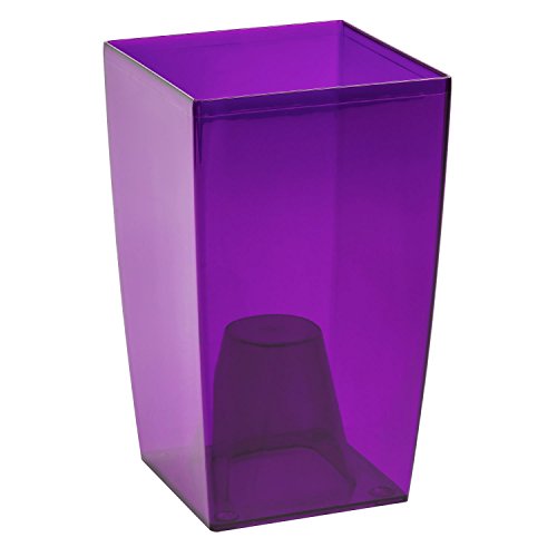 Prosperplast - Maceta transparente para orquídeas, color morado