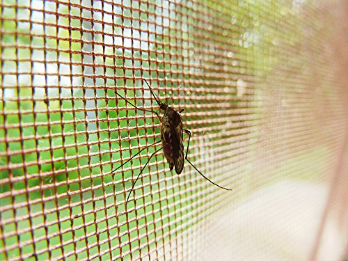 Protect Home - Insecticida Voladores, efecto persistente, spray para eliminar moscas, mosquitos y otros insectos voladores, 500ml