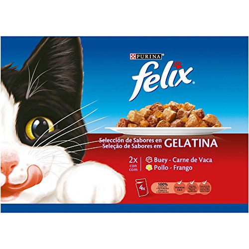 Purina Felix Gelatina comida para gatos con surtido de carnes 10 x [4 x 100 g]