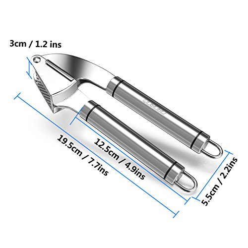 qobobo Prensa Ajos Prensa de Jengibre de Acero Inoxidable Utensilio de Cocina Limpiar con Facilidad