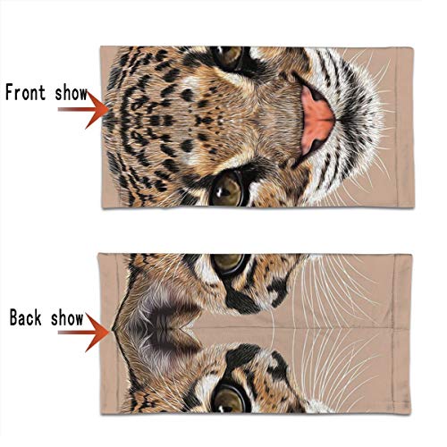 Q&SZ Sweatshirt Outdoor Headband Animal Cute Baby Leopard Portrait Wildlife African Tropical Feline Illustration Es Umber Cocoa Brown Scarf Neck Gaiter Face Bandana Scarf Head Scarf