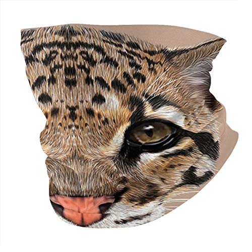 Q&SZ Sweatshirt Outdoor Headband Animal Cute Baby Leopard Portrait Wildlife African Tropical Feline Illustration Es Umber Cocoa Brown Scarf Neck Gaiter Face Bandana Scarf Head Scarf