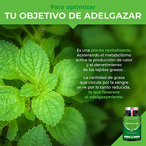 Quemagrasas Natural Adelgazante Termogenico Adelgazar Potente Forskolina Fat Burner Natural Acelera el Metabolismo Capsulas vegetales Fabricado en FRANCIA - Perder Peso Rapido SIN Efecto Rebote !!