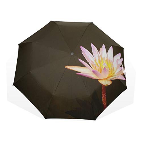 Rain Umbrella Windproof Lotus West Java Indonesian Windproof Compact Umbrella Kids Rain & Wind Resistant Compact and Lightweight For Business and Travels