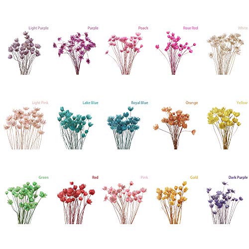 Ramo de flores secas decorativas, mini margaritas pequeñas, ramo de flores naturales para preservar flores para decoración del hogar de boda blanco