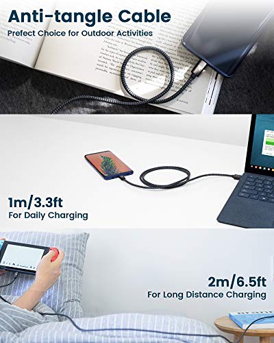 Rampow Cable USB Tipo C - Cable USB C a USB 3.0 Carga Rápida y Sincronización - Cable Tipo C Compatible con Samsung Galaxy, Xiaomi Mi A1/Mi A2, LG, HTC, Sony Xperia XZ y más - 1M, Gris Espacial