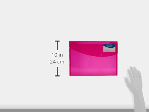Rapesco documentos - Carpeta portafolios A4+ con soporte para tarjeta, colores traslúcidos. 5 unidades