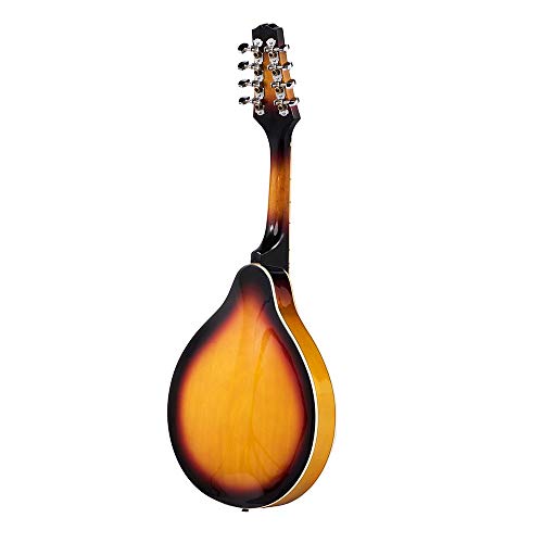 Rayzm Mandolina Tradicional Bluegrass en Color Sunburst Tostado con Funda Acolchada de Conciertos, Una Mandolina Acústica de 8 Cuerdas , Cuerpo de Tilo, Diapasón de Nogal y Mástil de Caoba