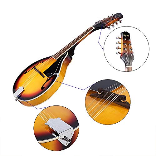 Rayzm Mandolina Tradicional Bluegrass en Color Sunburst Tostado con Funda Acolchada de Conciertos, Una Mandolina Acústica de 8 Cuerdas , Cuerpo de Tilo, Diapasón de Nogal y Mástil de Caoba