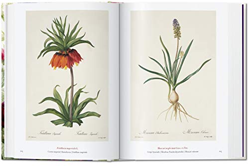 Redouté. Book Of Flowers – 40Th Anniversary Edition