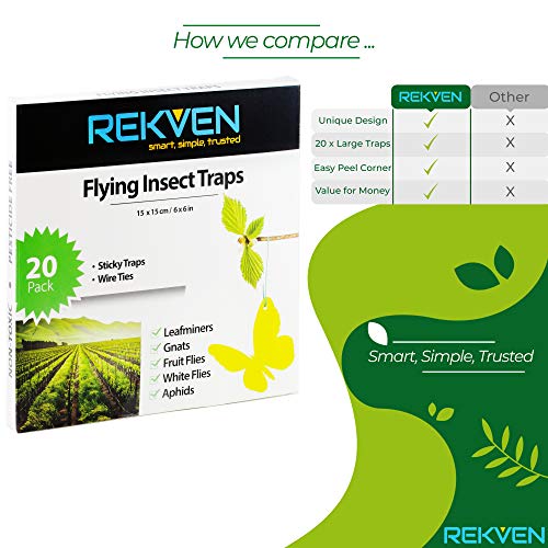 REKVEN - Trampas Adhesivas Grandes 20 Paquete, para Mosca de la Fruta y Otros Insectos Voladores