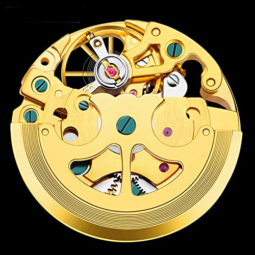 Reloj mecánico automático Hombres, Resistente al Agua, Reloj de Pulsera de Moda con Cuerda, 199. Carátula de la Parrilla de Calavera para Exteriores, Estilo de Negocios, Regalos (Oro)