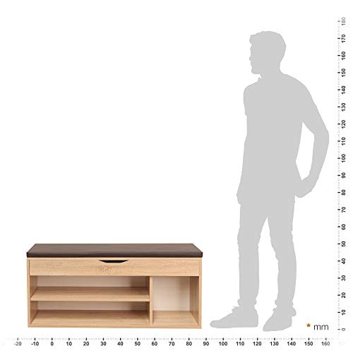 RICOO WM034-ES-B, Banco Zapatero, 104x49x30cm, Armario Interior con Asiento, Organizador Zapatos, Mueble recibidor, Perchero, Madera Roble marrón