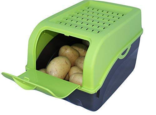 Rival 2 cajas de conservación para patatas, verduras, frutas, cebollas, cajas de almacenamiento - Plástico - Capacidad de 7,7 litros