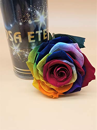 Rosa eterna arco iris multicolor PREMIUN. GRATIS TU ENVÍO Prime. Rosa preservada arco-iris cabeza PREMIUN. Tarjeta dedicatoria y envoltorio de regalo. Tubo conservación de 55 cm. Hecho en España.