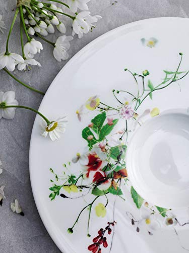 Rosenthal Brillance Fleurs Sauvages Plato Llano con ala, Porcelana De Hueso, Multicolor, 23 cm