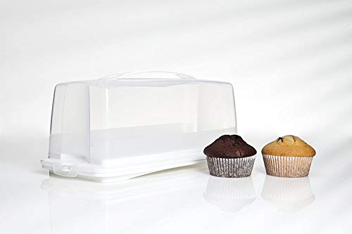 Rotho Fresh, Recipiente para pasteles con capucha y asa de transporte, Plástico PP sin BPA, blanco, 36.0 x 16.5 x 16.5 cm