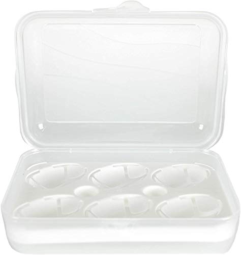 Rotho Fun, Caja de transporte para 6 huevos, Plástico PP sin BPA, transparente, 20.0 x 14.0 x 6.0 cm