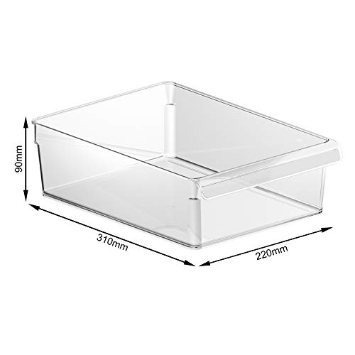 Rotho Loft, Organizador de la nevera 5l, Plástico SAN libre de BPA, transparente, L, 5l 31.0 x 22.0 x 9.0 cm