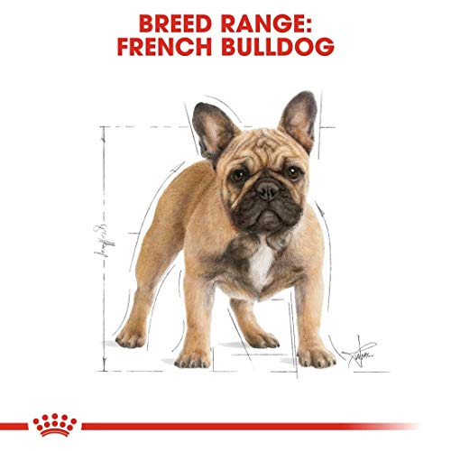 Royal Canin C-09023 Bulldog Frances - 9 Kg