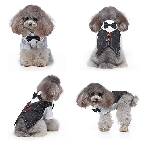 S-Lifeeling - Disfraz de perro para traje de boda con pajarita, vestido de polo a rayas con botones