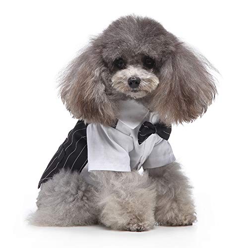 S-Lifeeling - Disfraz de perro para traje de boda con pajarita, vestido de polo a rayas con botones