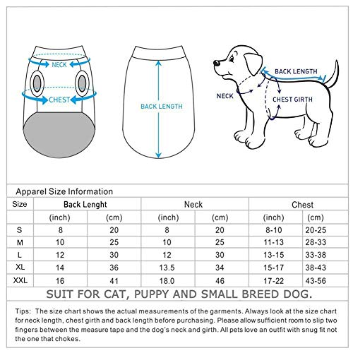 S-Lifeeling - Suéter para Perro, diseño de Rayas, Color Azul y Blanco