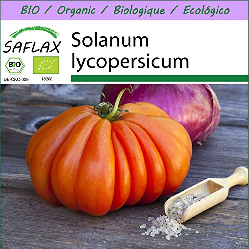 SAFLAX - Ecológico - Tomate - Corazón de buey - 10 semillas - Solanum lycopersicum