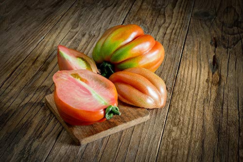 SAFLAX - Ecológico - Tomate - Corazón de buey - 10 semillas - Solanum lycopersicum