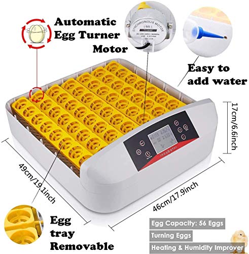 Sailnovo Incubadora Automática de Huevos 56 Huevos Pantalla Digital de Temperatura Dispositivo de Incubación Gallina Pato Codorniz