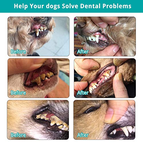 SCOBUTY Sarro Dental Limpiador,Limpiador de Dientes para Perros y Gatos,Dental Kit,Limpieza Dental Kit,Herramienta de Limpieza de Dientes para Perros y Gatos