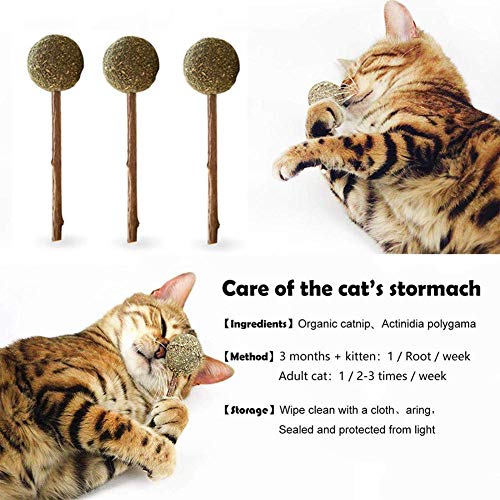 SEALEN 3 PCS Cat Mint Ball Stick Catnip Candy Juguetes para Gatos, Cat Dental Chews Catnip Lollipop, 100% Natural Cat Treats Cat Entertainment Juguetes para Dientes Limpieza con Mal Aliento