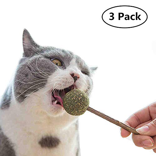 SEALEN 3 PCS Cat Mint Ball Stick Catnip Candy Juguetes para Gatos, Cat Dental Chews Catnip Lollipop, 100% Natural Cat Treats Cat Entertainment Juguetes para Dientes Limpieza con Mal Aliento