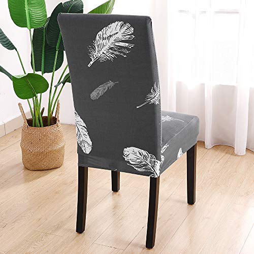 SearchI Funda de Silla de Comedor 6 Piezas Lavables Funda de Silla Elástica para Salón,Comedor,Cocina, Hotel,Banquete,Hogar Decor, Moderna Cubierta Protectora para Silla Comedor(Pluma Griso,Pack 6)