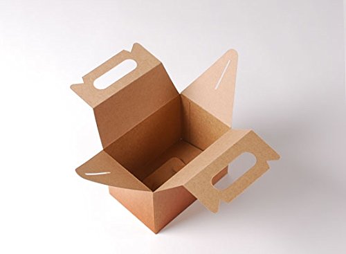 Selfpackaging Caja de Picnic en Color Kraft para cumpleaños, Fiestas o Food Trucks - M