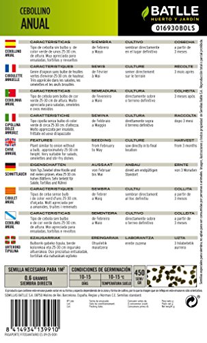 Semillas Aromáticas - Cebollino anual - Batlle