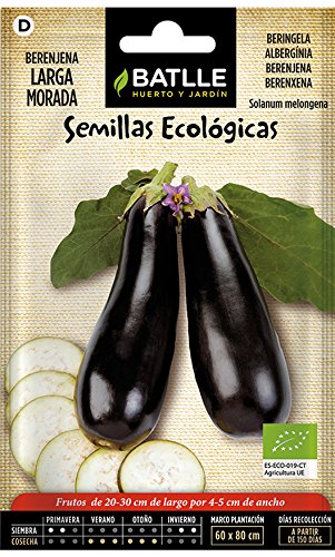 Semillas Ecológicas Hortícolas - Berenjena larga morada - ECO - Batlle