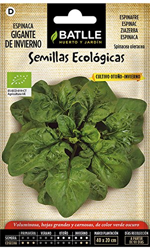 Semillas Ecológicas Hortícolas - Espinaca Gigante de Invierno - ECO - Batlle