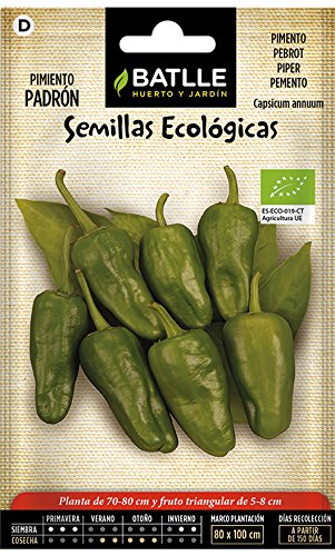 Semillas Ecológicas Hortícolas - Pimiento Padrón - Batlle