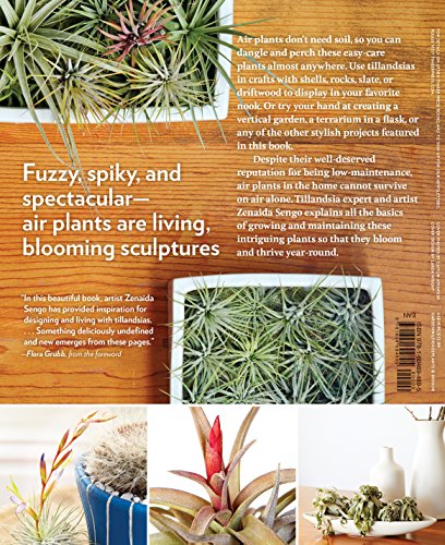 Sengo, Z: Air Plants: The Curious World of Tillandsias