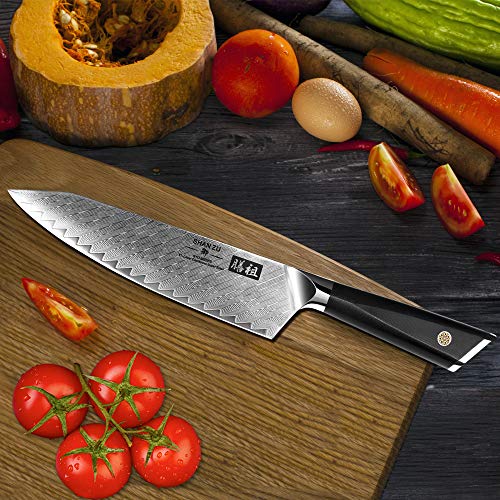 SHAN ZU Cuchillo de Cocina de Damasco de 20cm AUS10 Cuchillo de Cocina de 67 Capas de Acero de Damasco Profesional Cuchillos Afilados de Alto Carbono Profesionales con manija G10 - GYO Series