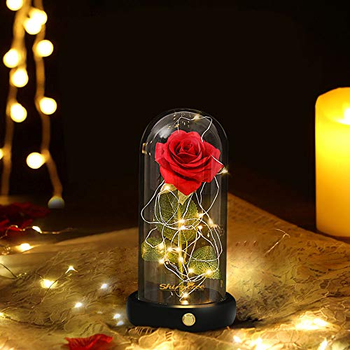 shirylzee Rosas Bella y la Bestia, Kit de Rosa Encantada, Regalos para Día de Navidad, San Valentin, Cumpleaños, Boda, Aniversario, Magicos Decoración Elegante Cúpula de Cristal con Base Pino Luz LED