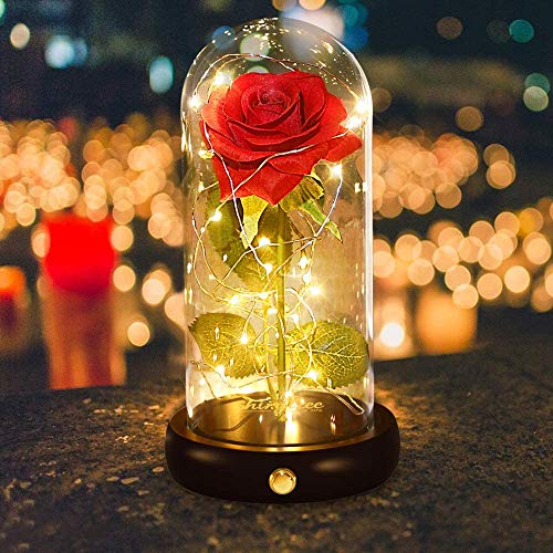 shirylzee Rosas Bella y la Bestia, Kit de Rosa Encantada, Regalos para Día de Navidad, San Valentin, Cumpleaños, Boda, Aniversario, Magicos Decoración Elegante Cúpula de Cristal con Base Pino Luz LED